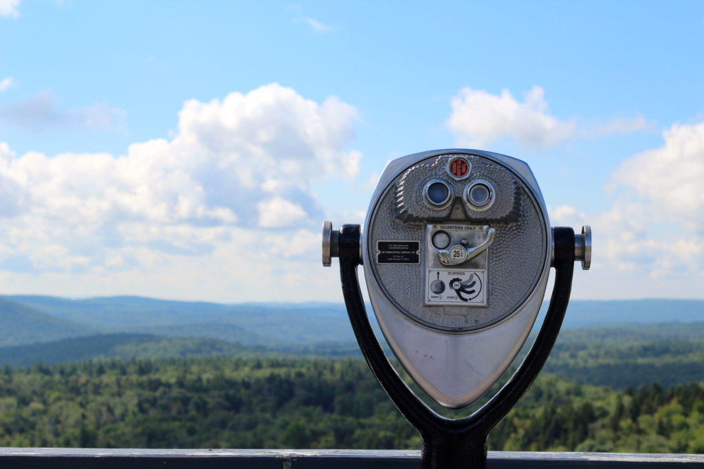 24 Hours In Arlington Vermont Trends And Tolstoy   IMG 5517 1024x683 